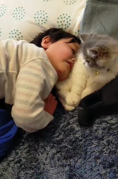 猫にくっつく男の子