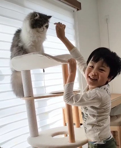猫に向けて手を伸ばす男の子