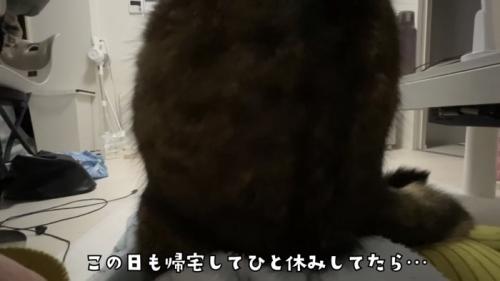 「この日も...」のテロップ写真