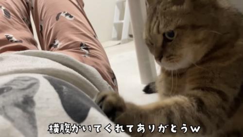 「横腹かいてくれて...」のテロップ写真