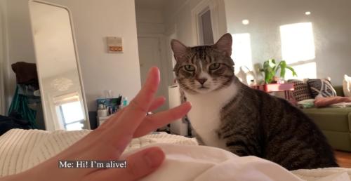 飼い主さんが起きて嬉しそうなノブくん%％「！！」