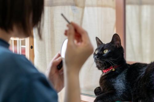 化粧してる女性を見つめる黒猫