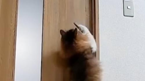 傾くドアノブ