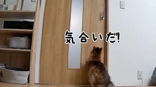 気合いだ！