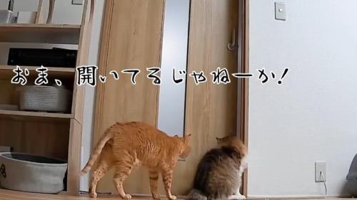 開いてるじゃねーか！