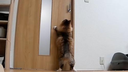 2足立ち
