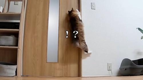 ！？