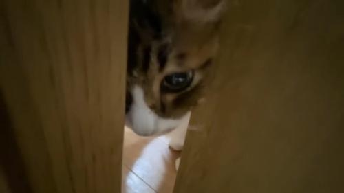 ドアの隙間