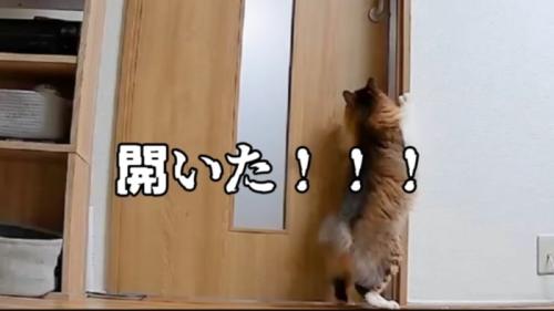 開いた！！！