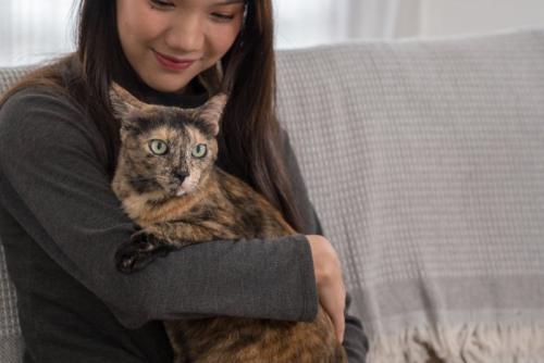 女性とサビ猫