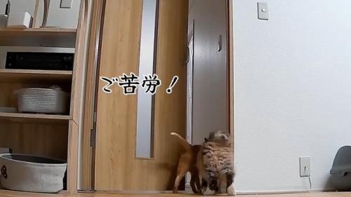 ご苦労！