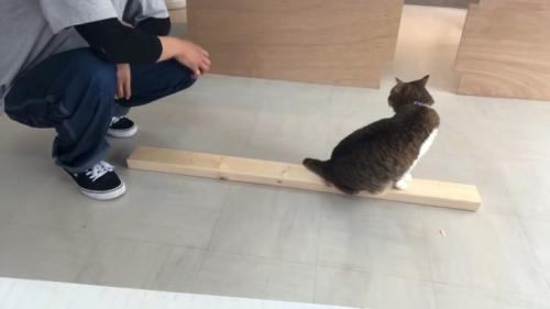 膝をかいて