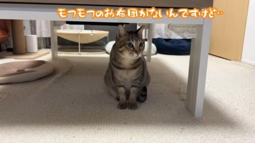 テーブルの下