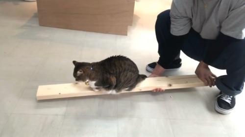 持ち上げて