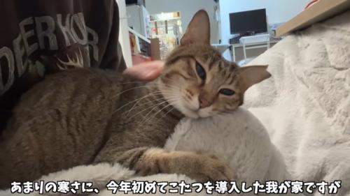 あまりの寒さに