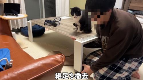 テーブルの上