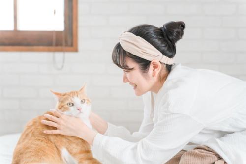 かわいがる飼い主と嫌がる猫