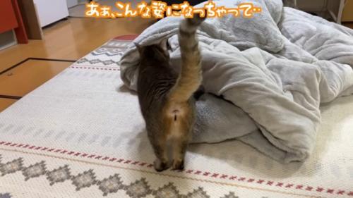 後ろ姿