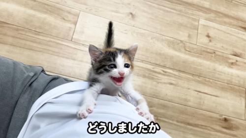どうしましたか