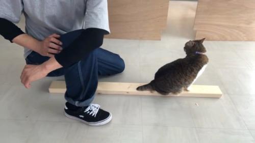 ストレッチ