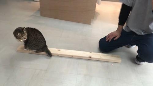 振り返る姿