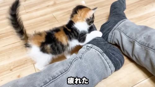 疲れた