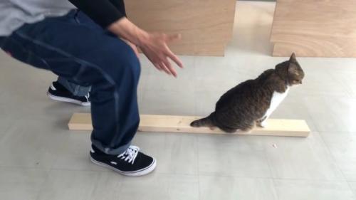 接近