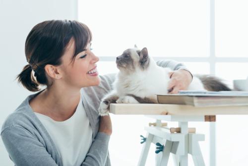 猫と見つめ合う女性