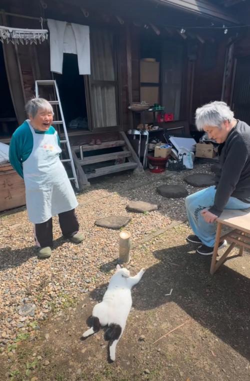 日向ぼっこする猫を囲む老夫婦