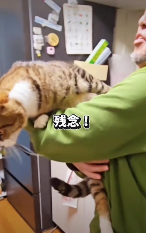 脱走する猫