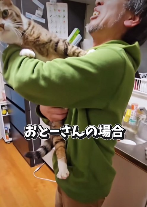 拒否する猫