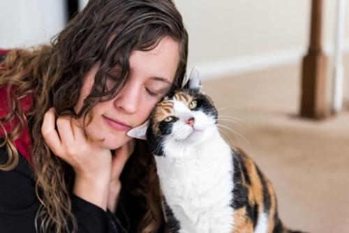 頭をくっつける女性と猫