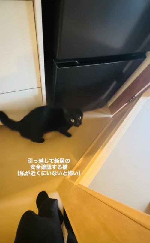 ママさんと新居の安全確認をする黒猫
