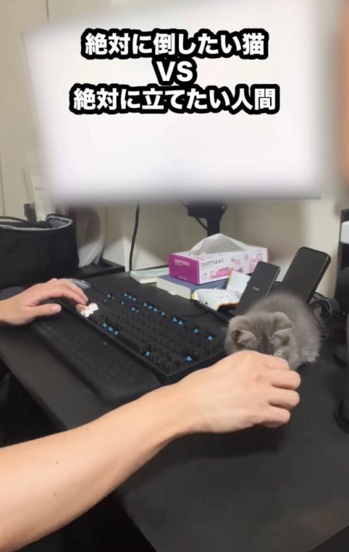 リップクリームを立てる