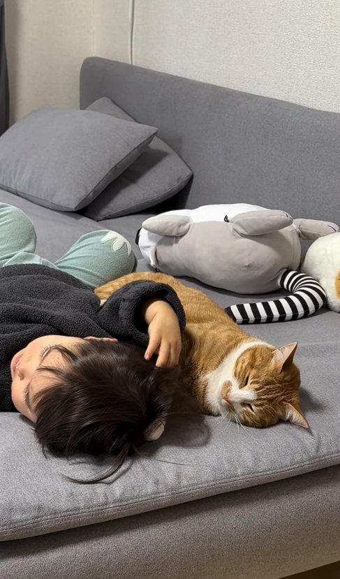 子供の後頭部に前足を添えて寝ている猫
