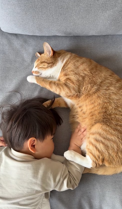 子供と向かい合って寝転がりながら左前足を舐めている猫