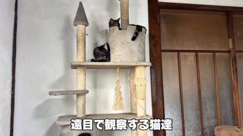 テロップ「遠目で観察する～」