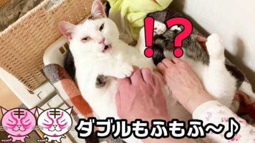 2人いることに気づいたおーちゃんさん