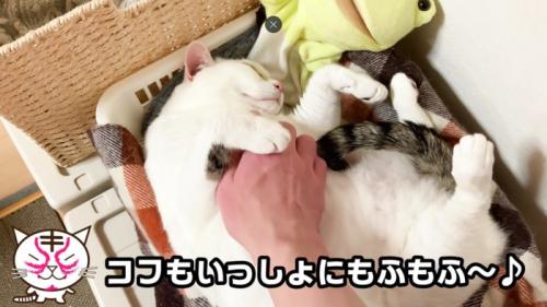 こっそりなでなでする父ちゃんに気づかないおーちゃんさん