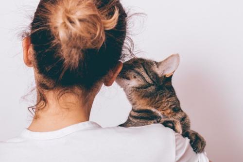 飼い主のニオイチェックをする猫