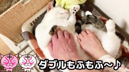 2人でおーちゃんさんのお腹をモフモフ