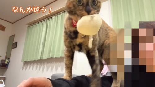 なんか違う！
