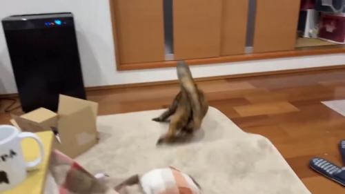 回転中