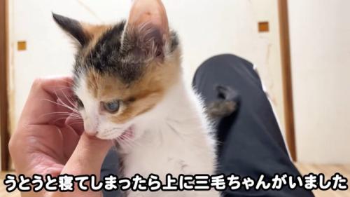 テロップ「うとうと寝てしまったら～」