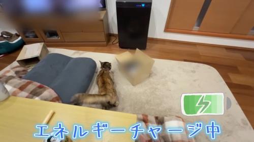 エネルギーチャージ