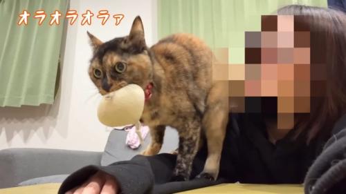 オラオラオラァ