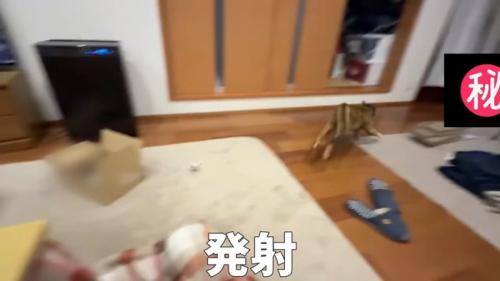 発射