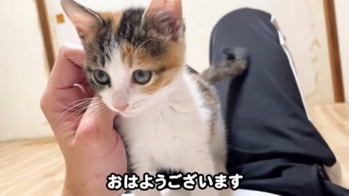 テロップ「おはようございます」