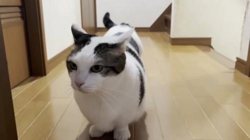 二回目一番の豆大福