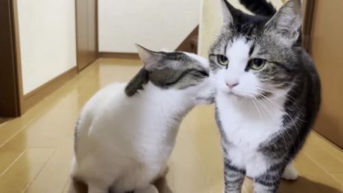 二回目二番のおでこ